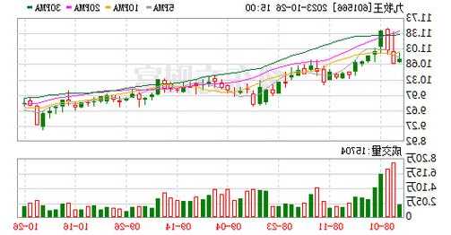 九牧王上涨5.02%，报10.26元/股  第1张
