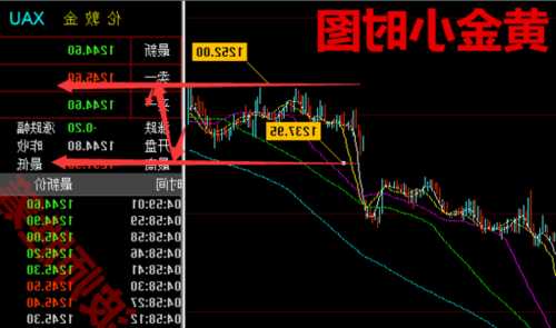 田洪良:主要货币短线操作指南 美指周二上涨在106.90之下遇阻  第1张