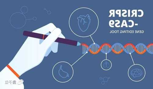 全球首款CRISPR基因编辑疗法获批在望 CRISPR Therapeutics(CRSP.US)股价迎重磅催化