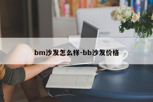 bm沙发怎么样-bb沙发价格  第1张