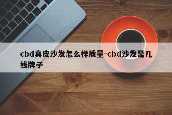 cbd真皮沙发怎么样质量-cbd沙发是几线牌子