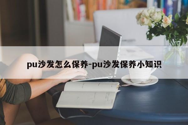 pu沙发怎么保养-pu沙发保养小知识