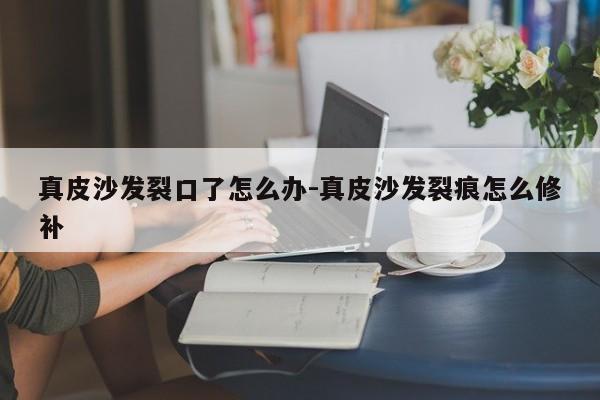 真皮沙发裂口了怎么办-真皮沙发裂痕怎么修补  第1张