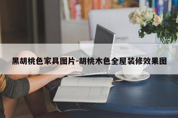 黑胡桃色家具图片-胡桃木色全屋装修效果图