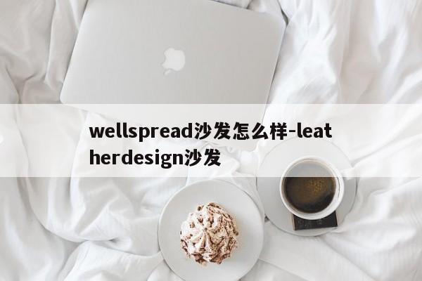 wellspread沙发怎么样-leatherdesign沙发  第1张