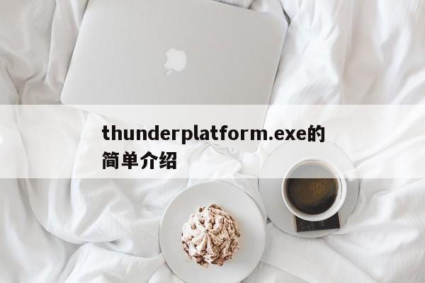 thunderplatform.exe的简单介绍