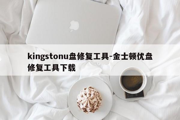 kingstonu盘修复工具-金士顿优盘修复工具下载  第1张