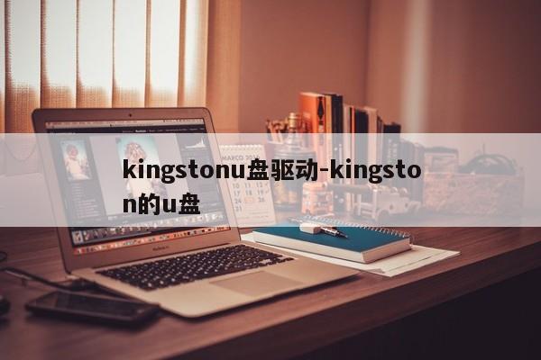 kingstonu盘驱动-kingston的u盘