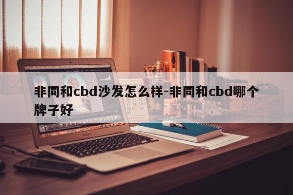 非同和cbd沙发怎么样-非同和cbd哪个牌子好  第1张