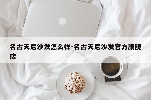 名古天尼沙发怎么样-名古天尼沙发官方旗舰店