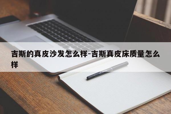 吉斯的真皮沙发怎么样-吉斯真皮床质量怎么样  第1张