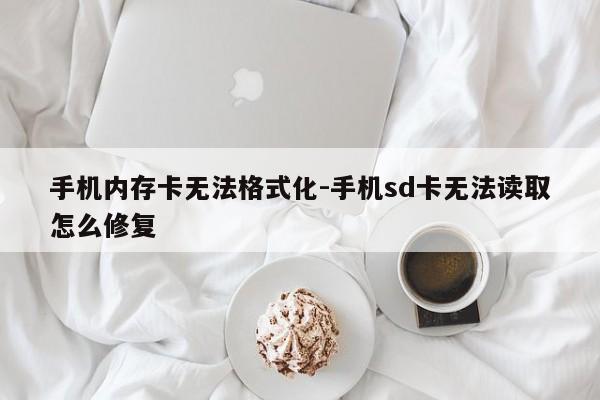 手机内存卡无法格式化-手机sd卡无法读取怎么修复