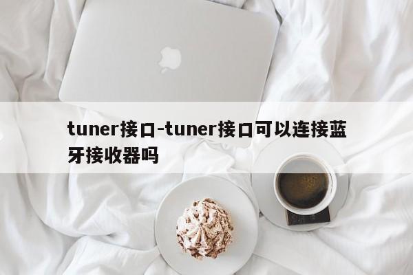 tuner接口-tuner接口可以连接蓝牙接收器吗