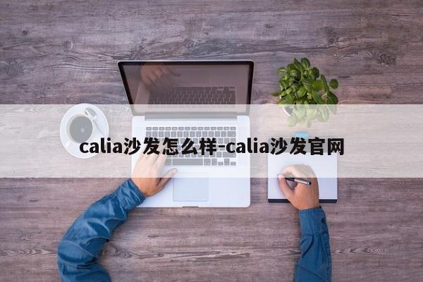 calia沙发怎么样-calia沙发官网  第1张