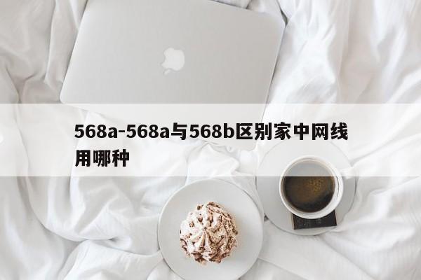 568a-568a与568b区别家中网线用哪种