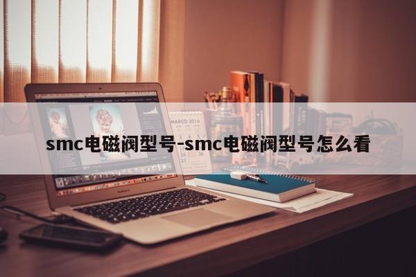 smc电磁阀型号-smc电磁阀型号怎么看  第1张