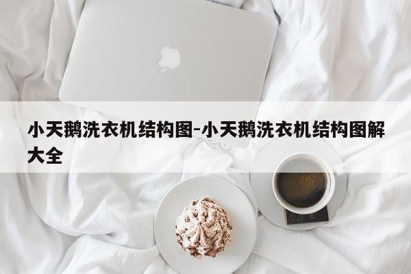 小天鹅洗衣机结构图-小天鹅洗衣机结构图解大全