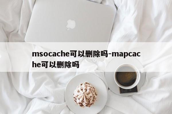 msocache可以删除吗-mapcache可以删除吗  第1张