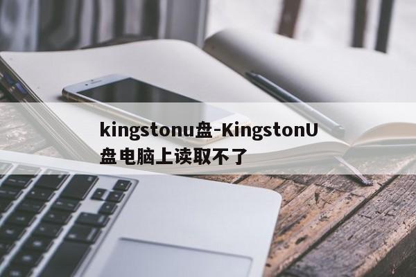 kingstonu盘-KingstonU盘电脑上读取不了  第1张