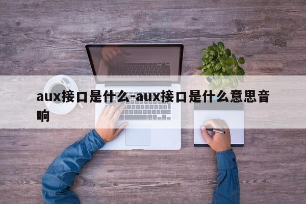 aux接口是什么-aux接口是什么意思音响