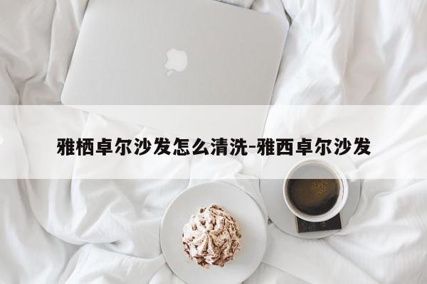 雅栖卓尔沙发怎么清洗-雅西卓尔沙发