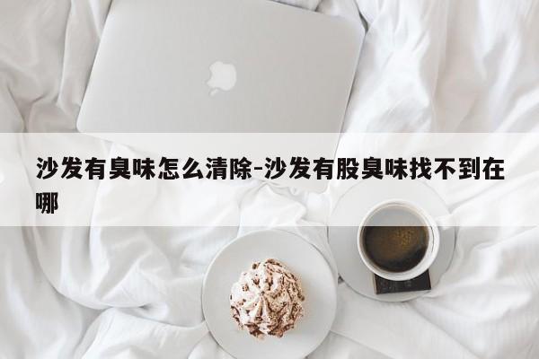 沙发有臭味怎么清除-沙发有股臭味找不到在哪