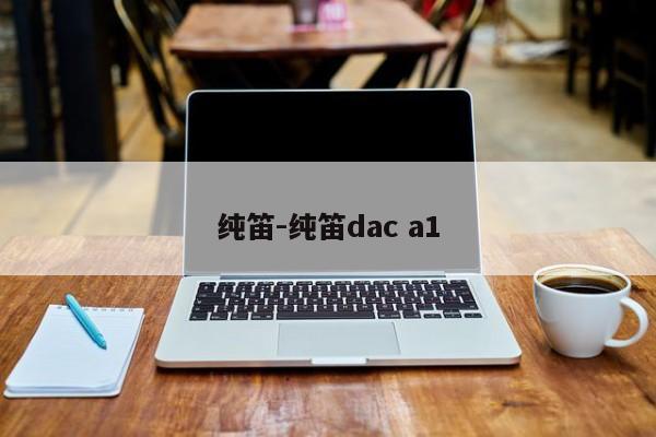 纯笛-纯笛dac a1