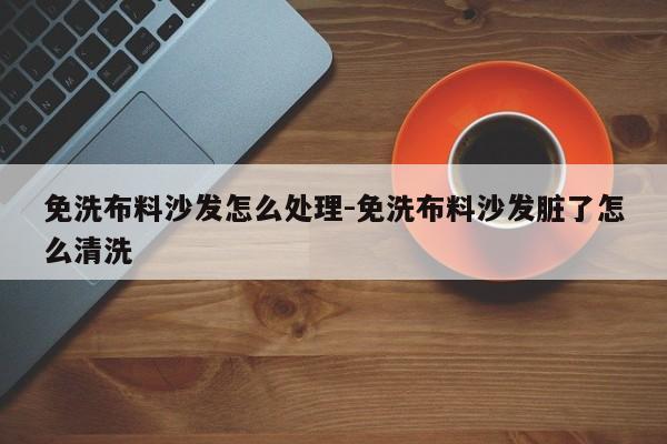 免洗布料沙发怎么处理-免洗布料沙发脏了怎么清洗