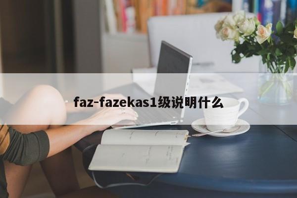 faz-fazekas1级说明什么