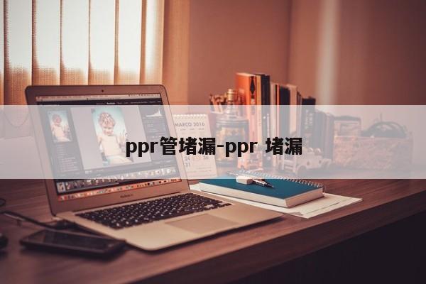 ppr管堵漏-ppr 堵漏