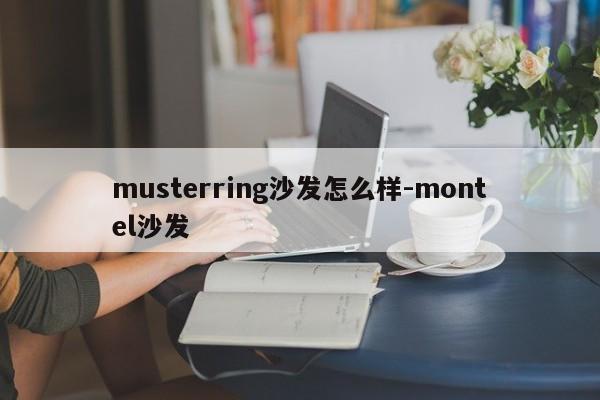 musterring沙发怎么样-montel沙发