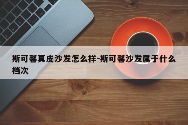 斯可馨真皮沙发怎么样-斯可馨沙发属于什么档次