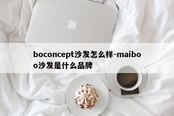 boconcept沙发怎么样-maiboo沙发是什么品牌